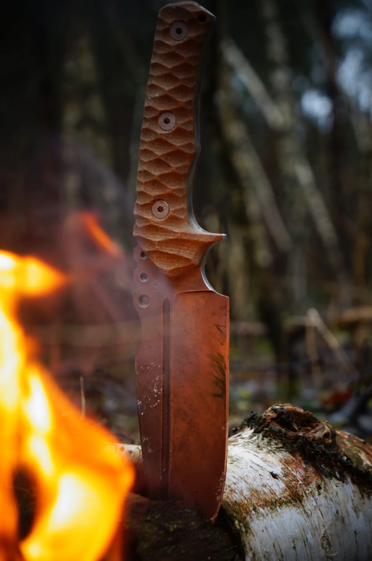 A bushcraft knife stuck in a birch log beside a campfire at dusk